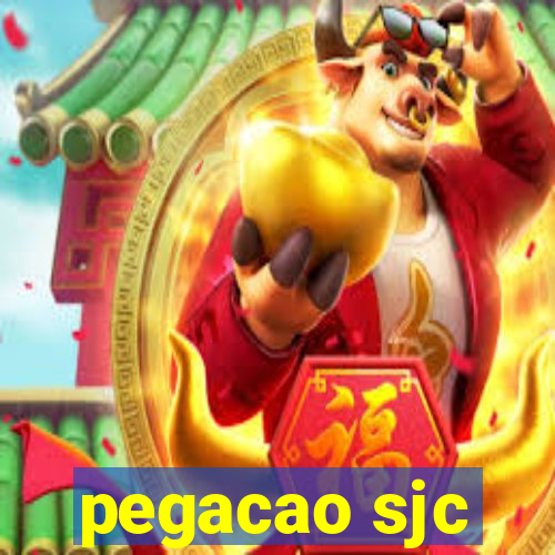 pegacao sjc